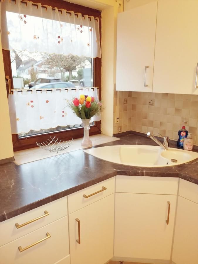 Ebenerdige Ferienwohnung Mit Grosser Terrasse In Der Naehe Des Waldes, Zum Wohlfuehlen Schoneck エクステリア 写真