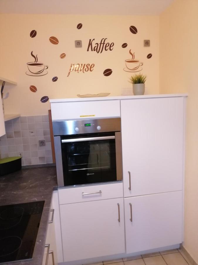 Ebenerdige Ferienwohnung Mit Grosser Terrasse In Der Naehe Des Waldes, Zum Wohlfuehlen Schoneck エクステリア 写真